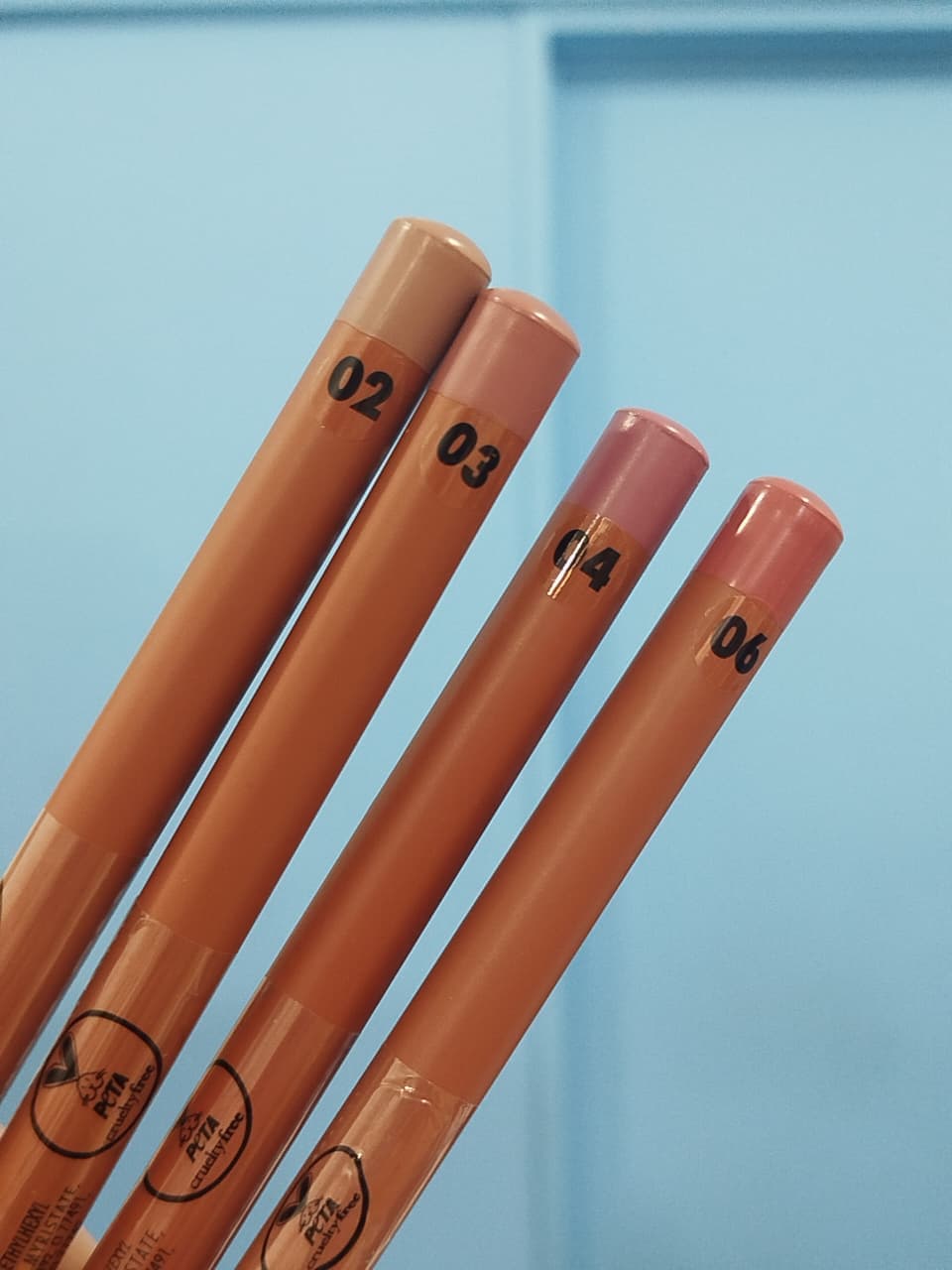 Delineador de Labios – Nude