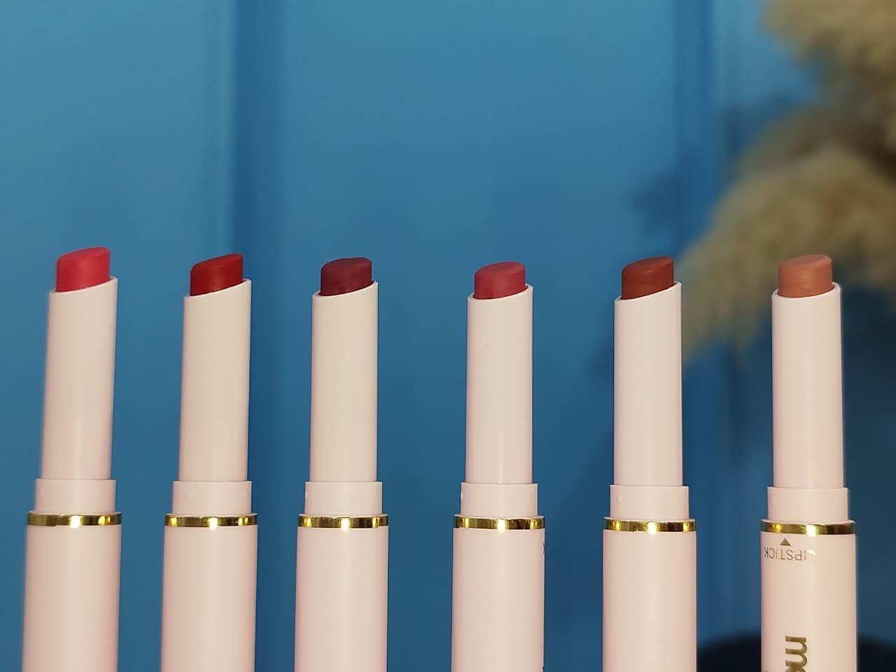 Labiales Delineador de Labios 2 en 1
